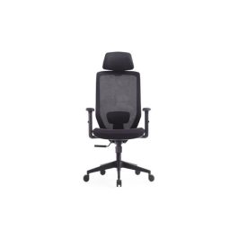 OfficeWorks High Back/Executive Chair with Adjustable Armrest MC6656A